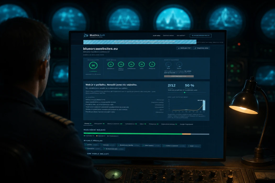 BlueOrca Audit: Kontrola kvality webů z mé dílny